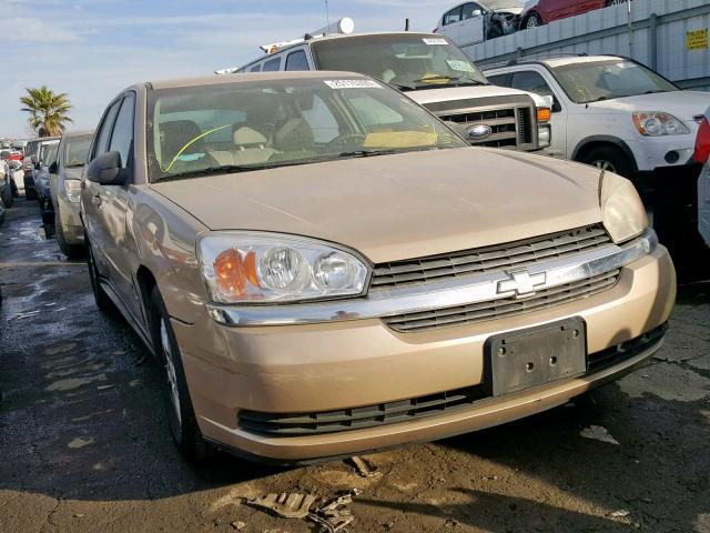 1G1ZT64835F238245 - 2005 CHEVROLET MALIBU MAX 金色 照片 1