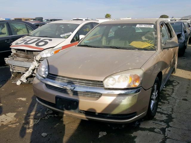 1G1ZT64835F238245 - 2005 CHEVROLET MALIBU MAX 金色 照片 2