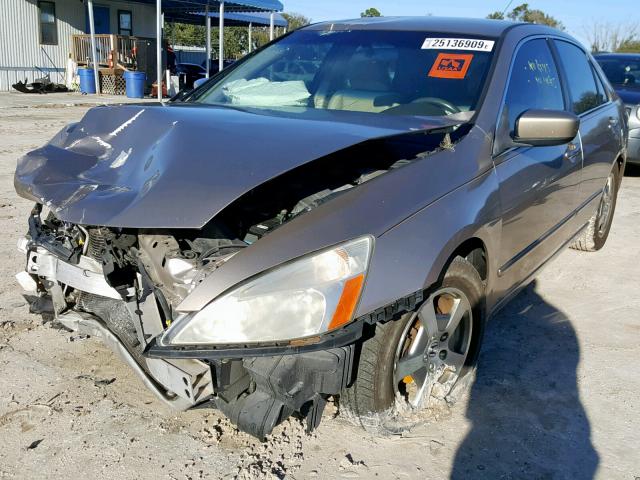 JHMCN36445C008682 - 2005 HONDA ACCORD HYB GOLD photo 2