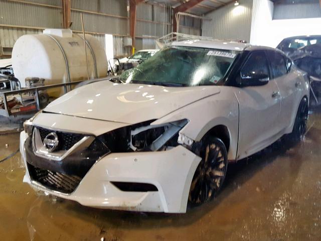 1N4AA6APXHC451260 - 2017 NISSAN MAXIMA 3.5 WHITE photo 2