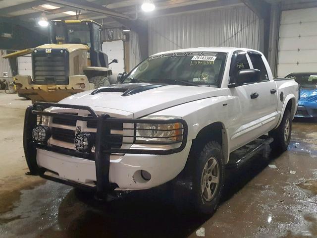 1D7HW48N66S561203 - 2006 DODGE DAKOTA WHITE photo 2