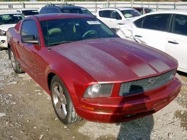 1ZVFT80NX55136106 - 2005 FORD MUSTANG RED photo 1