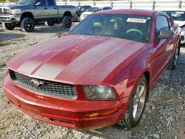 1ZVFT80NX55136106 - 2005 FORD MUSTANG RED photo 2
