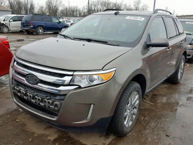 2FMDK3JCXDBB24931 - 2013 FORD EDGE SEL BROWN photo 2