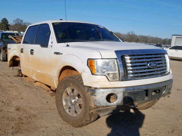 1FTEW1E80AFD39574 - 2010 FORD F150 SUPER WHITE photo 1