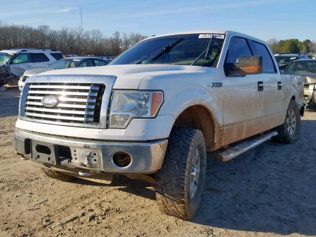 1FTEW1E80AFD39574 - 2010 FORD F150 SUPER WHITE photo 2