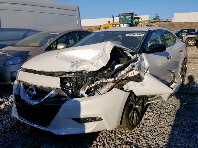 1N4AA6AP4GC423906 - 2016 NISSAN MAXIMA 3.5 WHITE photo 2