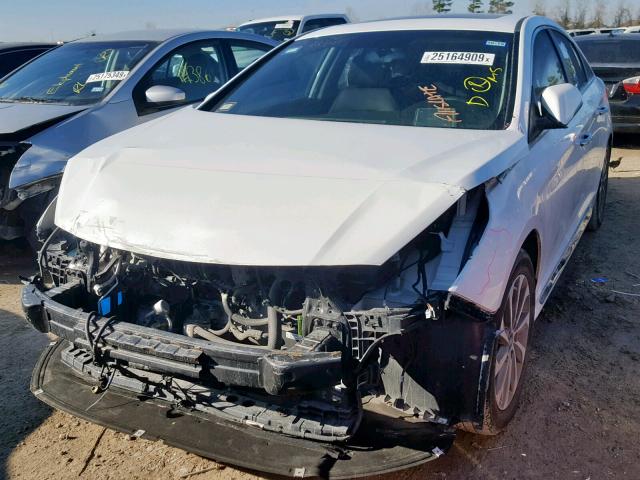 5NPE34AF6HH497867 - 2017 HYUNDAI SONATA SPO WHITE photo 2