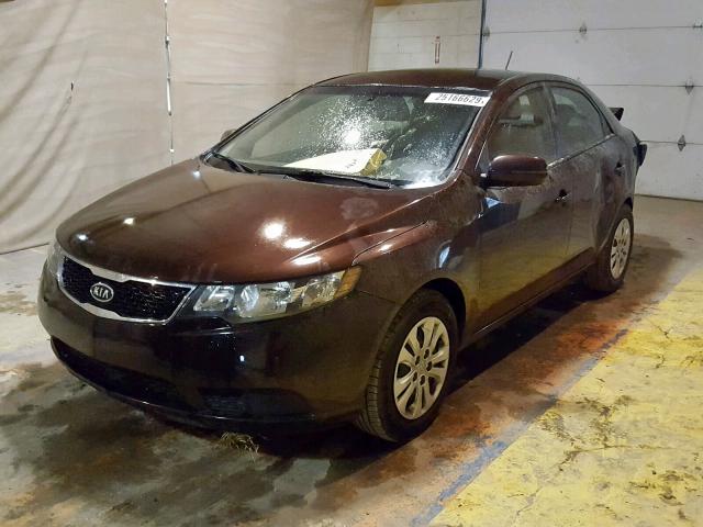 KNAFU4A27B5464590 - 2011 KIA FORTE EX BURGUNDY photo 2