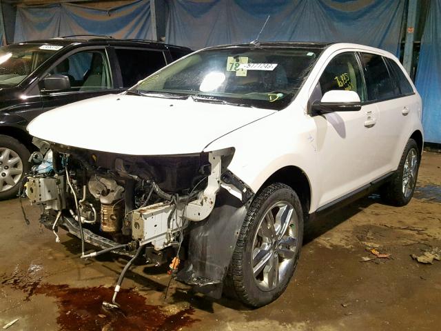 2FMDK3JC3CBA02877 - 2012 FORD EDGE SEL WHITE photo 2