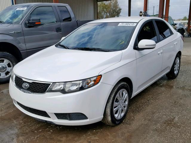 KNAFU4A29C5532423 - 2012 KIA FORTE EX WHITE photo 2