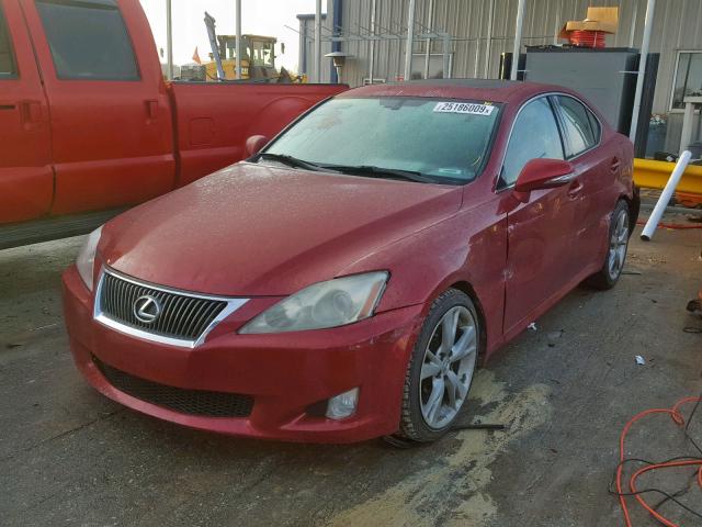 JTHBK262995100233 - 2009 LEXUS IS 250 RED photo 2