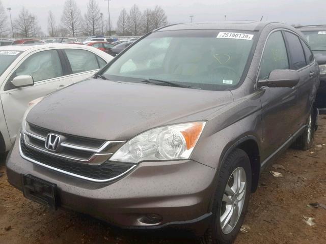 5J6RE4H75AL090130 - 2010 HONDA CR-V EXL GRAY photo 2