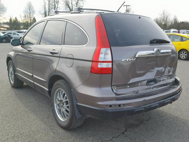 5J6RE4H77AL039891 - 2010 HONDA CR-V EXL BROWN photo 3