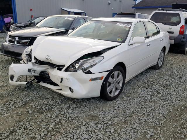 JTHBA30G565175889 - 2006 LEXUS ES 330 WHITE photo 2