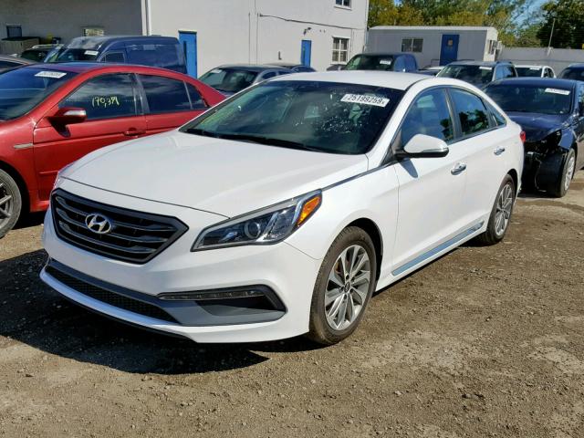 5NPE34AF0GH414464 - 2016 HYUNDAI SONATA SPO WHITE photo 2