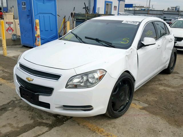 1G1ZC5E19BF102211 - 2011 CHEVROLET MALIBU 1LT 白色 照片 2