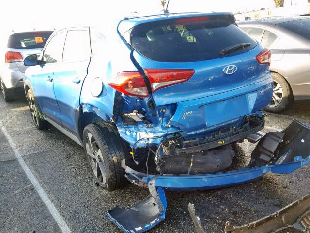 KM8J33A24HU462039 - 2017 HYUNDAI TUCSON LIM BLUE photo 3