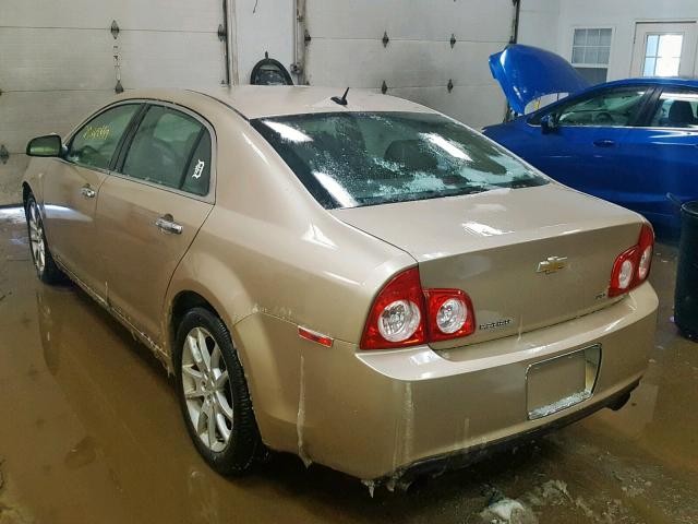 1G1ZK57748F223726 - 2008 CHEVROLET MALIBU LTZ GOLD photo 3