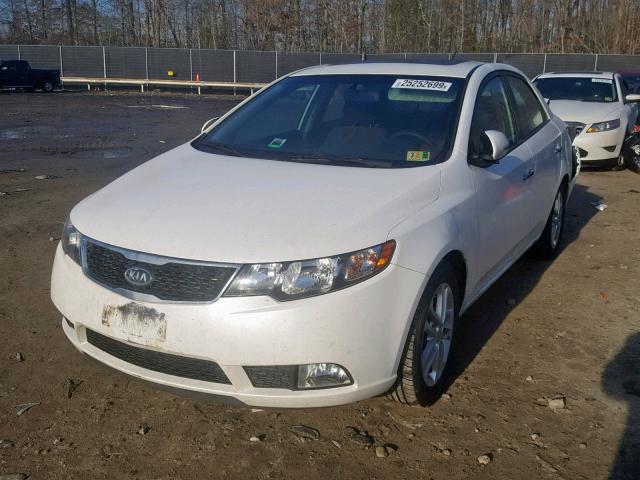 KNAFU4A2XB5406148 - 2011 KIA FORTE EX WHITE photo 2