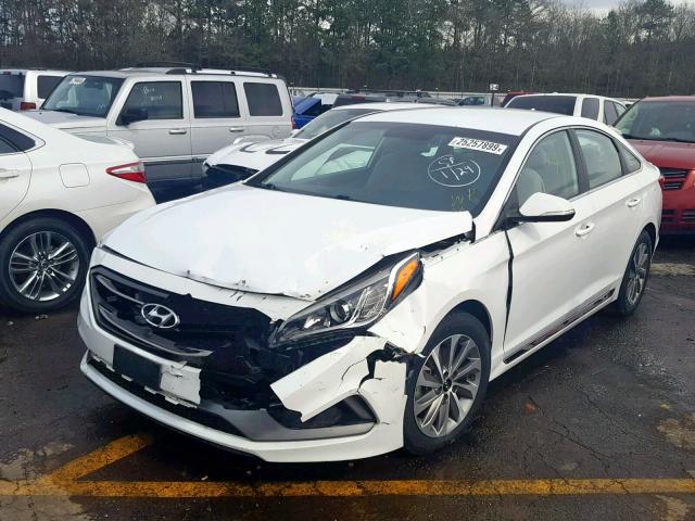 5NPE34AF3FH156794 - 2015 HYUNDAI SONATA SPO BLACK photo 2