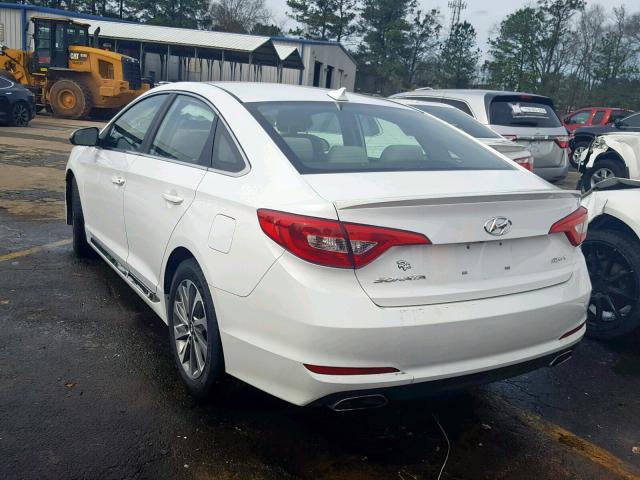 5NPE34AF3FH156794 - 2015 HYUNDAI SONATA SPO BLACK photo 3