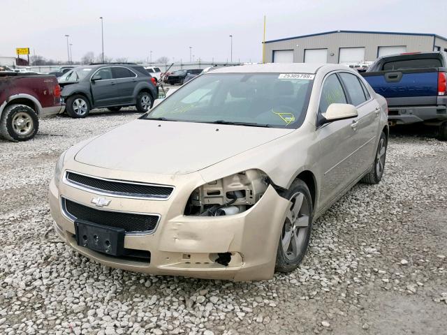 1G1ZC5E12BF129783 - 2011 CHEVROLET MALIBU 1LT GOLD photo 2