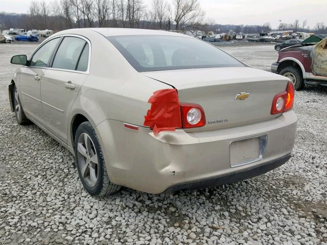 1G1ZC5E12BF129783 - 2011 CHEVROLET MALIBU 1LT GOLD photo 3
