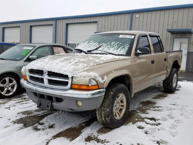 1B7HG48N72S695736 - 2002 DODGE DAKOTA QUA GOLD photo 2