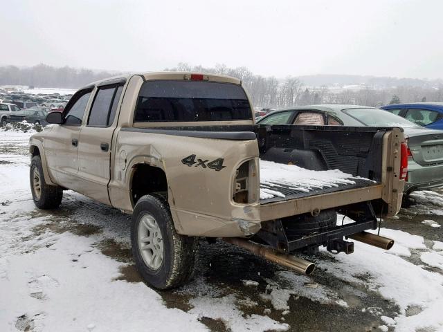 1B7HG48N72S695736 - 2002 DODGE DAKOTA QUA GOLD photo 3