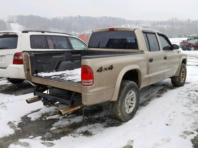 1B7HG48N72S695736 - 2002 DODGE DAKOTA QUA GOLD photo 4