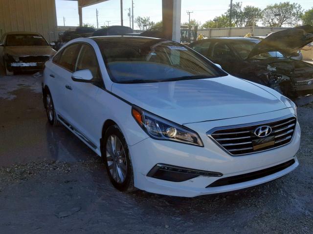 5NPE34AF0FH243648 - 2015 HYUNDAI SONATA SPO WHITE photo 1