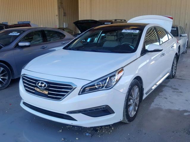 5NPE34AF0FH243648 - 2015 HYUNDAI SONATA SPO WHITE photo 2