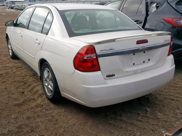 1G1ZT52825F316219 - 2005 CHEVROLET MALIBU LS WHITE photo 3