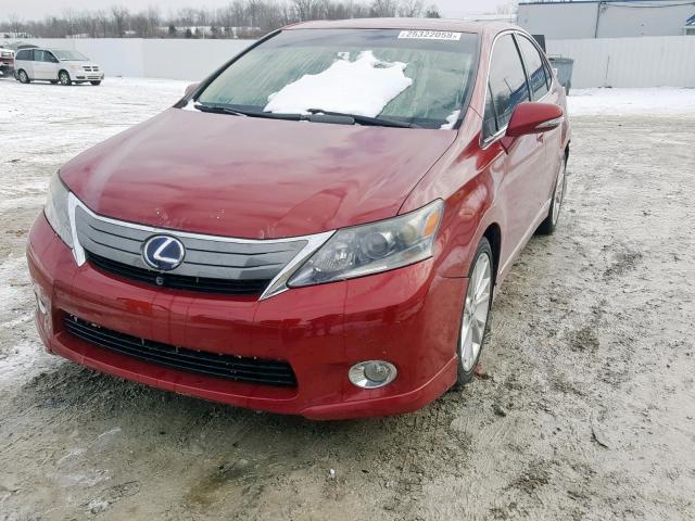 JTHBB1BAXA2024163 - 2010 LEXUS HS 250H RED photo 2