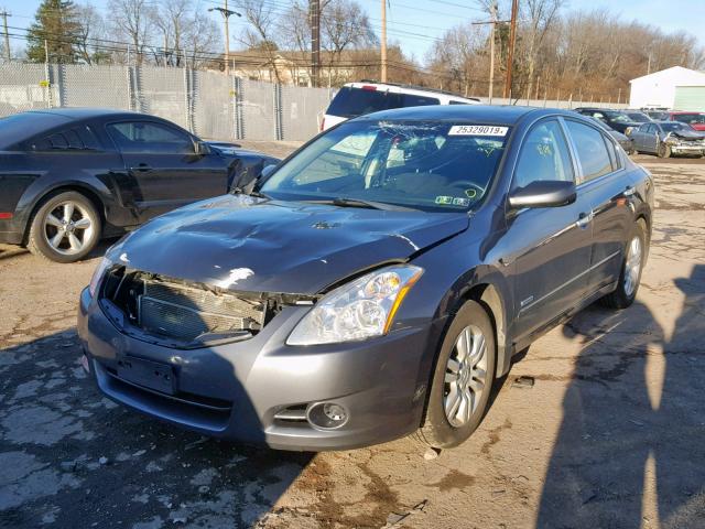 1N4CL2AP4AC150291 - 2010 NISSAN ALTIMA HYB GRAY photo 2