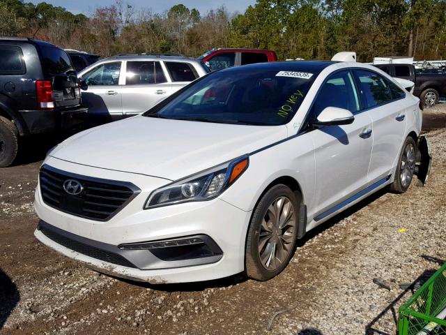 5NPE34AB8FH177072 - 2015 HYUNDAI SONATA SPO WHITE photo 2