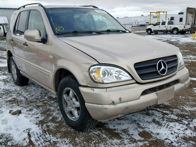 4JGAB54E31A288959 - 2001 MERCEDES-BENZ ML 320 GOLD photo 1