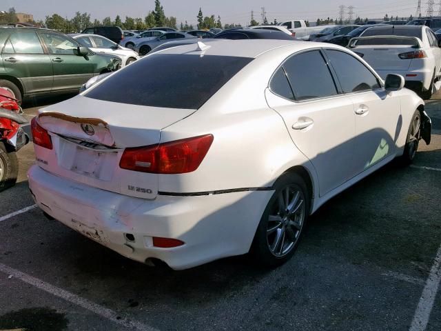 JTHBK262585066189 - 2008 LEXUS IS 250 WHITE photo 4