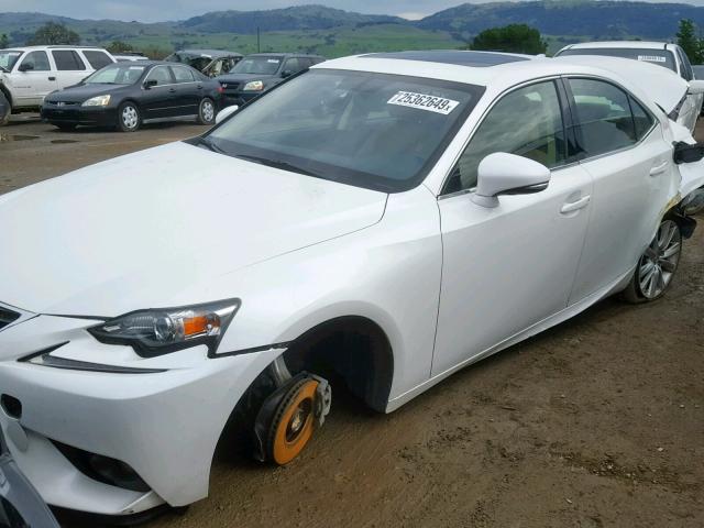 JTHBF1D21E5034711 - 2014 LEXUS IS 250 WHITE photo 2