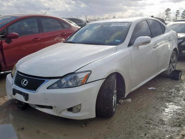 JTHBK262492088672 - 2009 LEXUS IS 250 WHITE photo 2