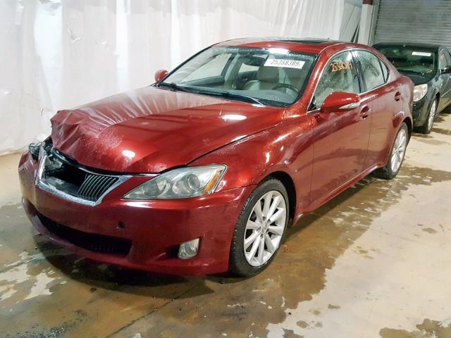 JTHBF5C20A2094516 - 2010 LEXUS IS 250 RED photo 2