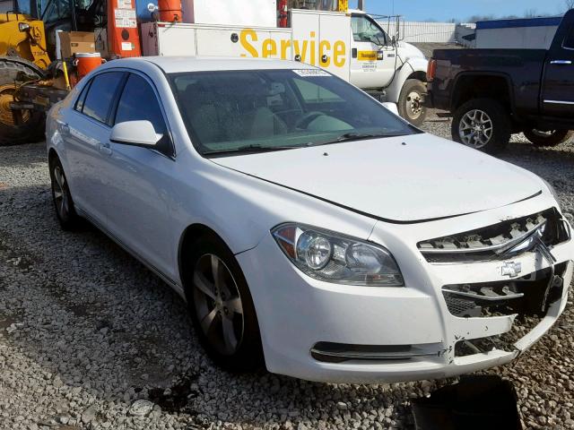 1G1ZC5EU4BF353048 - 2011 CHEVROLET MALIBU 1LT თეთრი ფოტო 1