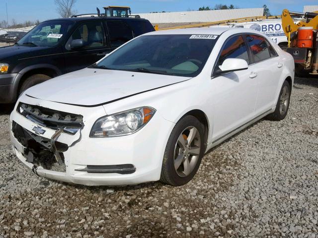 1G1ZC5EU4BF353048 - 2011 CHEVROLET MALIBU 1LT თეთრი ფოტო 2