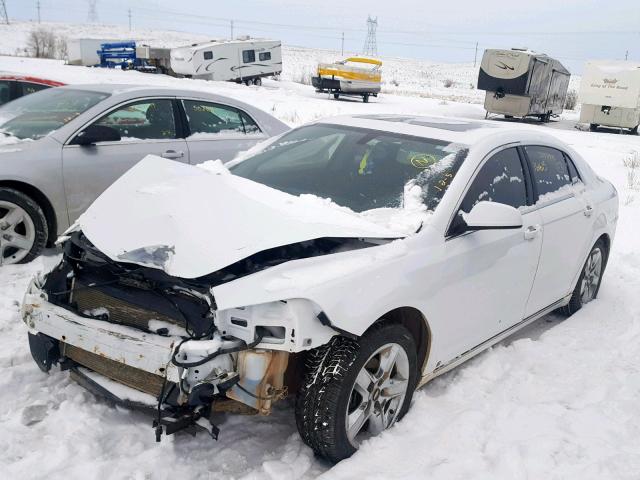 1G1ZH57B69F227149 - 2009 CHEVROLET MALIBU 1LT თეთრი ფოტო 2