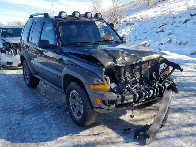 1J8GL38K36W250795 - 2006 JEEP LIBERTY RE ყავისფერი ფოტო 1