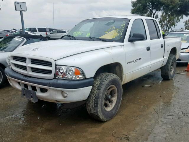 1B7HG2AN41S323445 - 2001 DODGE DAKOTA QUA WHITE photo 2