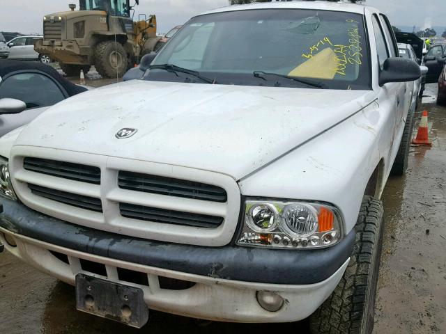 1B7HG2AN41S323445 - 2001 DODGE DAKOTA QUA WHITE photo 9