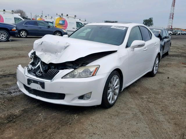 JTHBF5C29A5122201 - 2010 LEXUS IS 250 WHITE photo 2