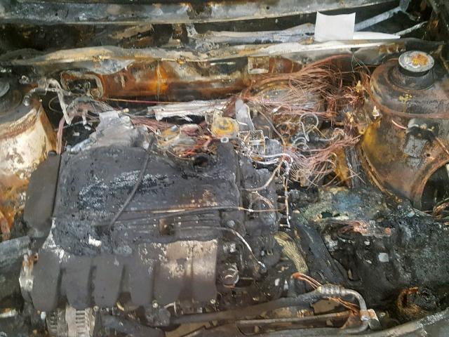 WVWEE83A5SE008871 - 1995 VOLKSWAGEN PASSAT GLX ლურჯი ფოტო 7